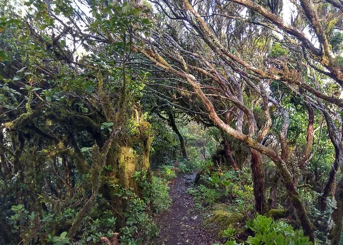 Sunset Apartamento El Pris