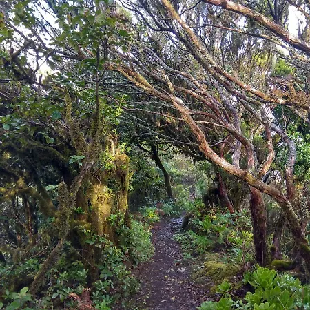 Sunset Apartamento El Pris